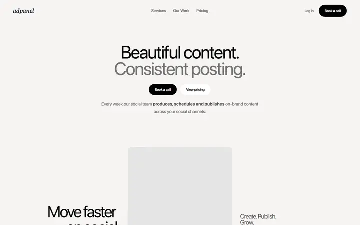 Adpanel marketing agency website homepage