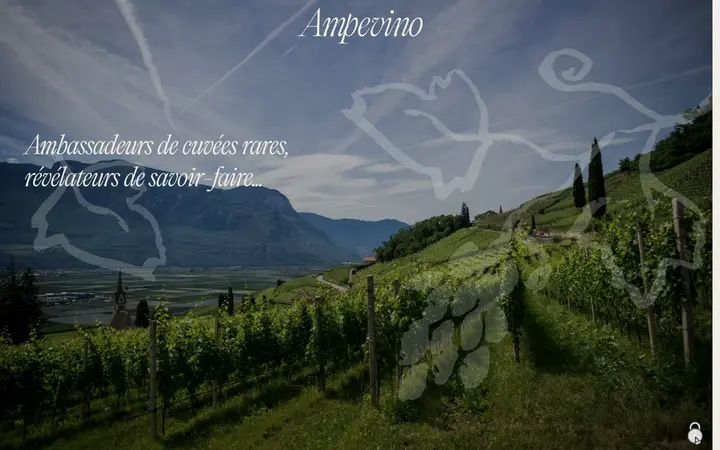 Ampevino winery website homepage
