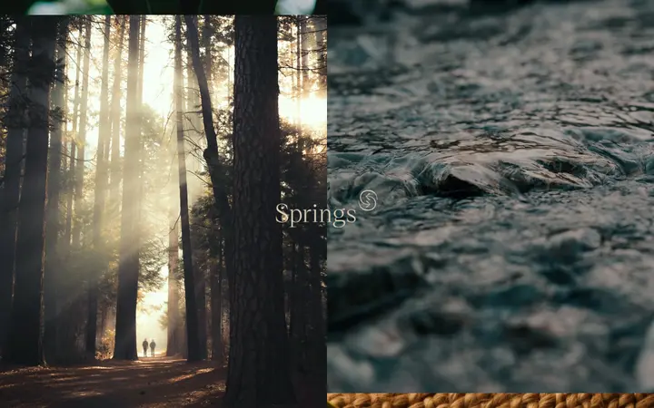 Springs property developer website homepage