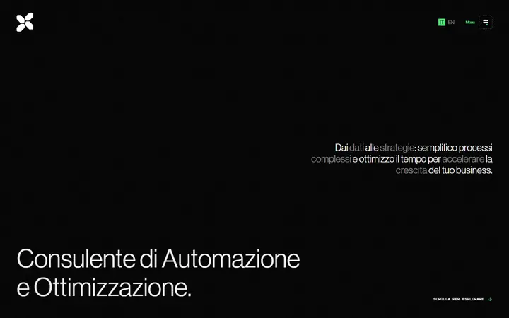 Davide Cattaneo consulting website homepage