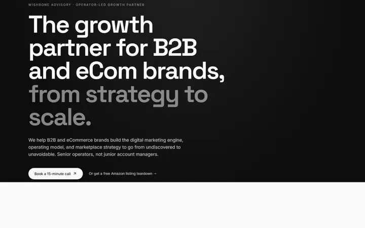 Wishbone Advisory consulting website homepage