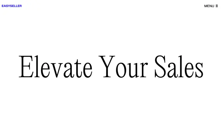 EASYSELLER marketing agency website homepage